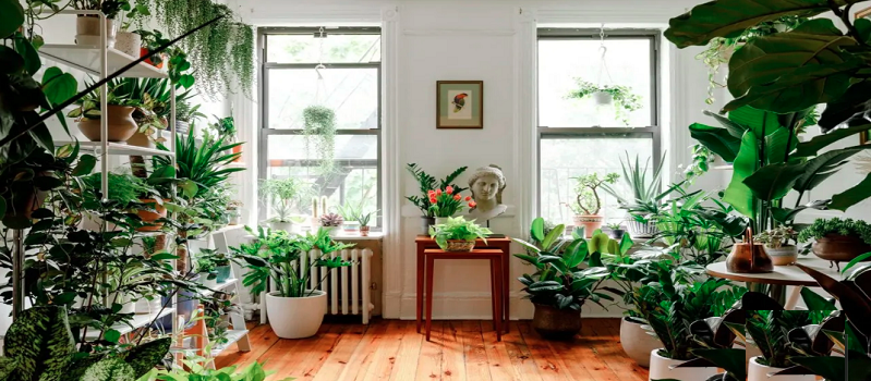 Tips And Tricks To Transform Your Living Space Into A Green Home